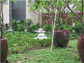 嶺南天地光導(dǎo)照明應(yīng)用