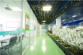 光導(dǎo)筒照明 光導(dǎo)筒照明