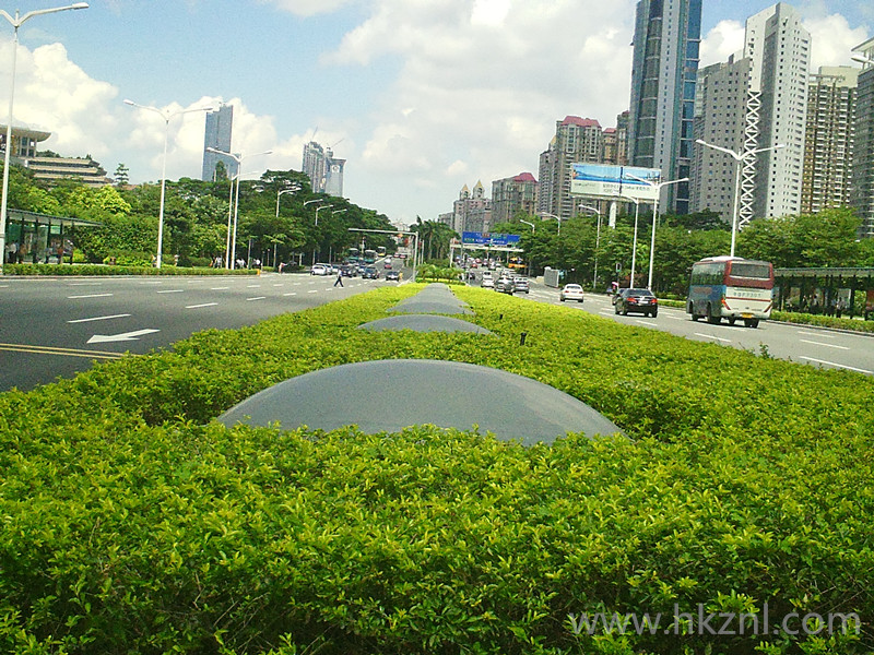 01_副本.jpg 01_副本.jpg