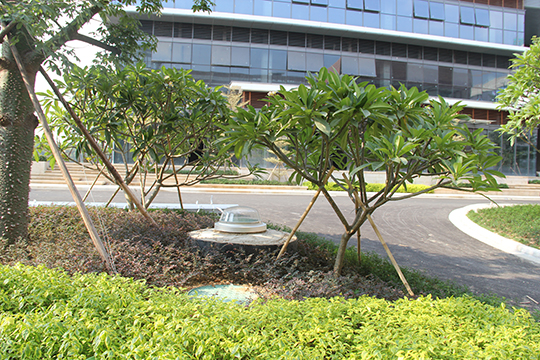 草坪上的半球形采光罩 草坪上的半球形采光罩