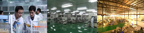 香港正能量，光導(dǎo)照明專業(yè)供應(yīng)商，8年專注