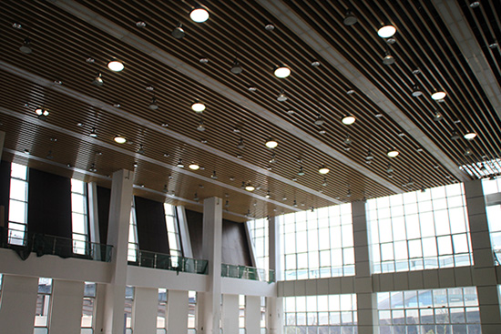 “滿天星”的光導(dǎo)照明系統(tǒng) “滿天星”的光導(dǎo)照明