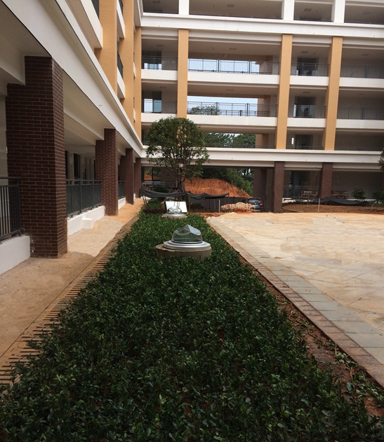 紅橋中學(xué)光導(dǎo) 紅橋中學(xué)光導(dǎo)