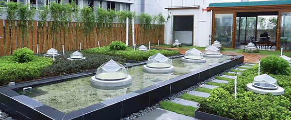 公司頂樓.jpg 公司頂樓.jpg